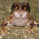 Dennis Herrick - @denbea1 - Twitter