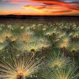 Granite1207's profile picture. ever been smitten?