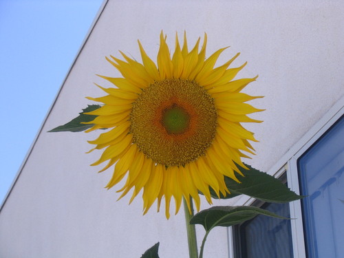 spolson00's profile picture. 