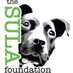 Sula Foundation (@SulaFoundation) Twitter profile photo