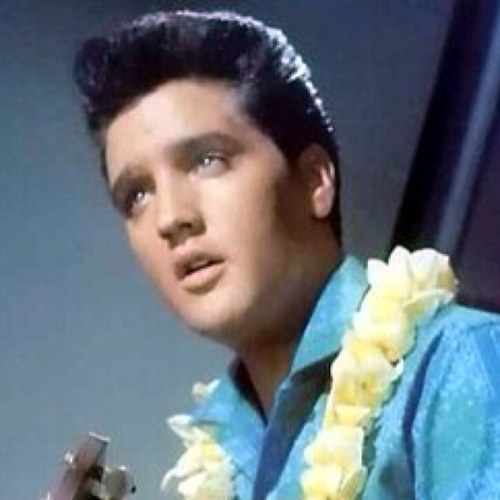 fozcraw's profile picture. 