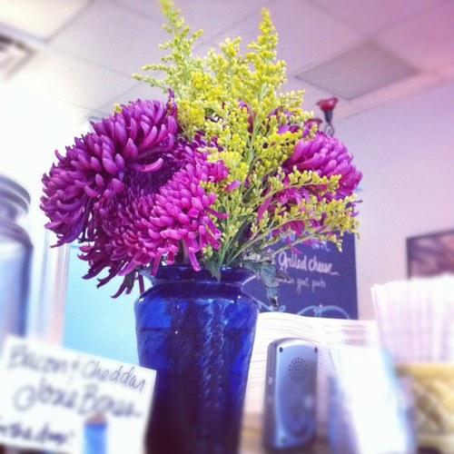 FunctionalDsign's profile picture. 