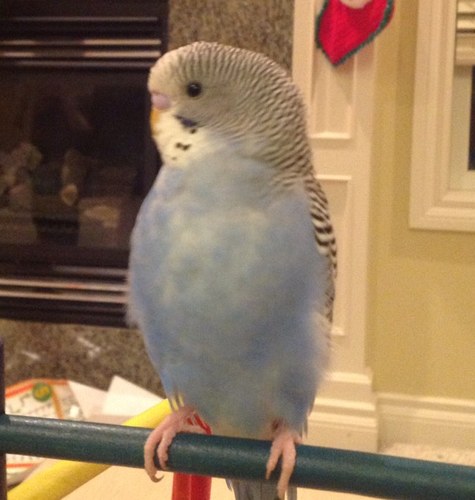 Margaret_Walsh5's profile picture. 