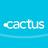 CACTUSInt's profile image