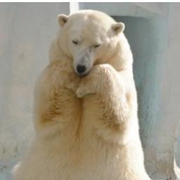 Aurivella's profile picture. 