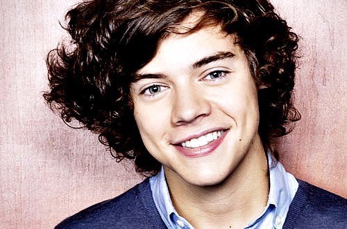 i am in love with harry styles! i am a true directioner! and a brunette! haha! -__- everyone should be a directioner, not a hater of them! :)