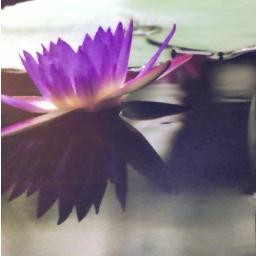 jamee_cloud's profile picture. 