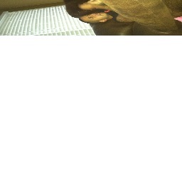 rargueljr's profile picture. 