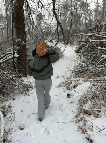 decker908's profile picture. powerlifter, corrections officer