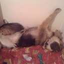 richard huxley - @SkippyHuxley - Twitter