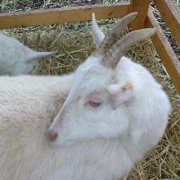 Dreamnot34's profile picture. Grand amateur de jeu vidéo sur ps3 .A tout mes abonnés peu nombreux que je remercie je vous conseil d'aller voir les vidéos de LCF LaCrazyFamily que je kiff.