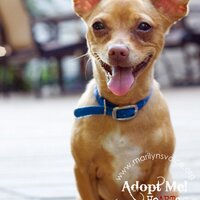 Marilyn's Voice (@marilynsvoice07) 's Twitter Profile