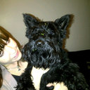 Vikki Taylor - @vikki1706 - Twitter