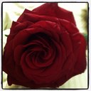 anfal saeed (@00Anfal) Twitter