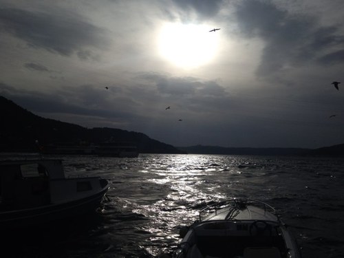 sakineoz's profile picture. 