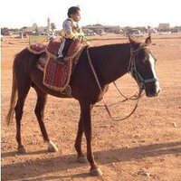 abodanaaa (@abodanaaa1) 's Twitter Profile