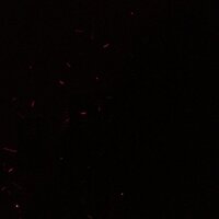 b (@e_r2892) 's Twitter Profile