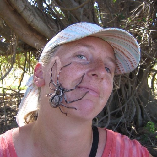 maths teacher turned tour guide, turned Social Support manager at local charity!