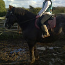 tamara rees - @welshy04 - Twitter