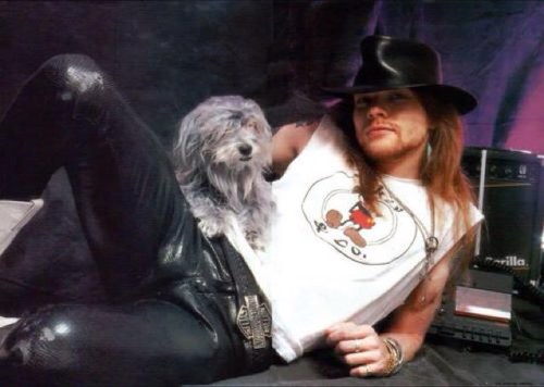 Motley Crue, Guns n Roses, AC/DC, Warrant, Bring me the Horizon, Cinderella, Crashdiet, Poison, Steel Panther, Vains of Jenna, Led Zeppelin are love.