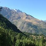 davidsylvian38's profile picture. 