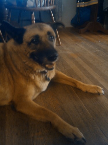 pamelacrs61's profile picture. California girl. Love my family, my dog and music.