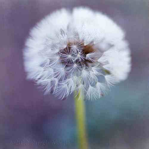 all things to make 2013 perfect | wish requests accepted | i follow back :) Ask me a question http://t.co/eoTt7SKl