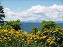 LCIChamberVT's profile picture. Lake Champlain Islands - Chamber of Commerce