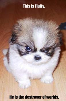 Fluffy - Destroyer of Worlds