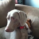 michelle welsh - @welsh_michelle - Twitter