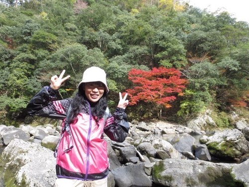 上村 陽子 Pajian Twitter