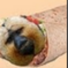 Just a dawg trying to dawgydawg through life ya feel me.
https://t.co/nUXQqdSQtc