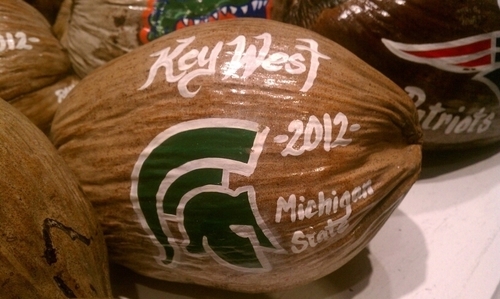 gonzojune21's profile picture. 