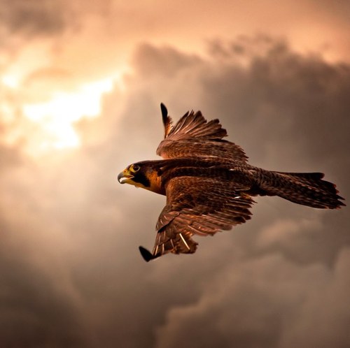 A_3_S's profile picture. 