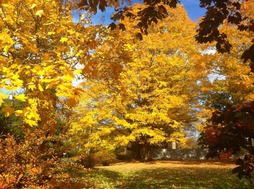 bethfkrueger's profile picture. 