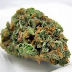 Weed Facts and Useful Information for the Everyday user, #420 #weed #maryjane #IceBrrg #pothead