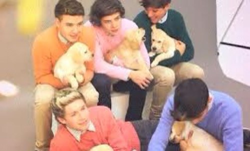 meganmcknight6's profile picture. Too Many Things to say! if u were following me before please follow me again iam not new here and if u werent thats okay follow me anyway