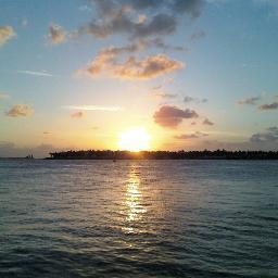 moi_stephm's profile picture. 