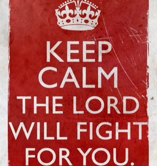 mesterer's profile picture. 