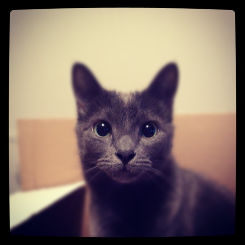 lawrenceyy26's profile picture. 