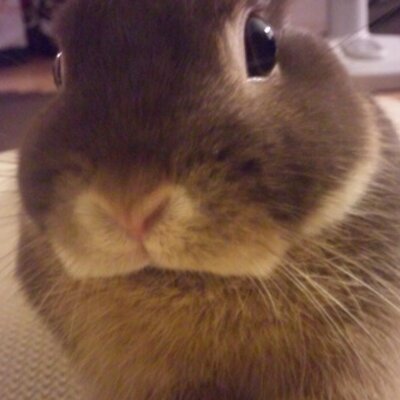 英恵 夏休みは伊豆へ行ってきましたー このペンション クオリティインスイングは学生時代に今の旦那様と行った所ですっ マスターによると11年ぶりだとか ワンコのリーダと にゃんこのミータがお出迎え Http T Co Wyy7lnfvwe 英恵 夏休みは伊豆へ行ってきましたー このペンション クオリティインスイングは学生時代に今の旦那様と行った所ですっ マスターによると11年ぶりだとか ワンコのリーダと にゃんこのミータがお出迎え Http T Co Wyy7lnfvwe