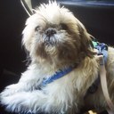 ivette duran - @ivette_duran - Twitter