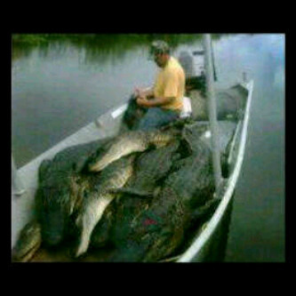 AssyfaAura's profile picture. 