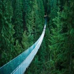 Learn everything that is good from others, but bring it in, and in your own way absorb it; do not become others.-Swami Sivananda