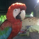 levi daniel labarca - @LabarcaLevi - Twitter