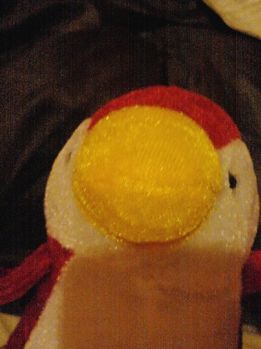 i follow back\(*-*)/ and i like to poke stuff with a stick and i like soccer!!!!!!