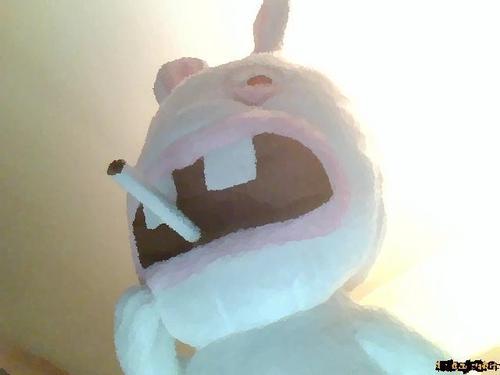 GuillaumeYomegi's profile picture. 