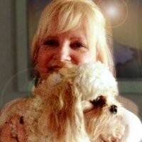 Deborah Denton - @DeborahDenton Twitter Profile Photo