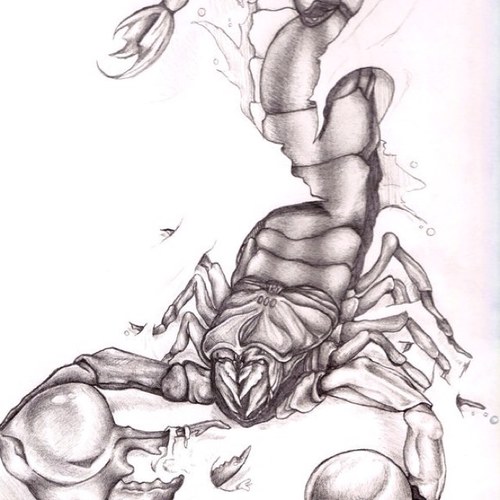 joshwalker48's profile picture. You can't go back and fix your mistakes, you can't go back and fix your regrets because they are their forever no matter what