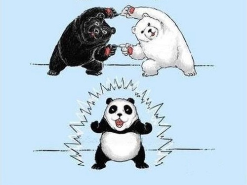 mecbot21's profile picture. 